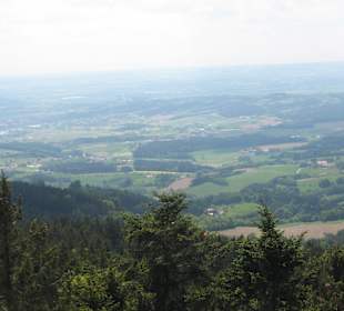 Die tolle Aussicht