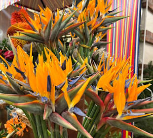 Exotische Blumen und Früchte auf dem Markt...