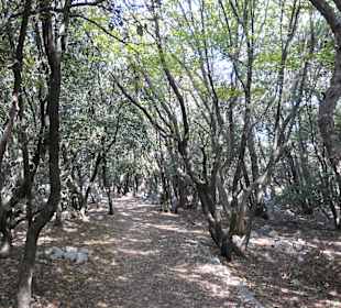 Bei einer schönen Bergwanderung bei Baška