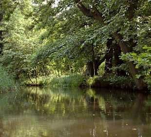 Spreewald
