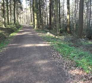 Wanderung Florianrunde