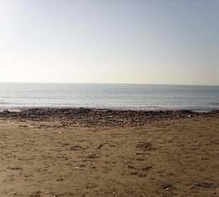 Dieser Strand total verdreckt, unsauber, vermüllt