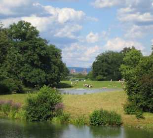 Die Aussicht auf das Schloss von Aschaffenburg.