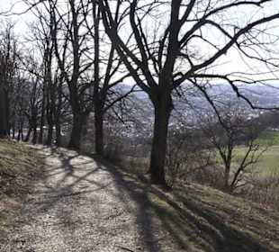 Wanderweg zur Achalm