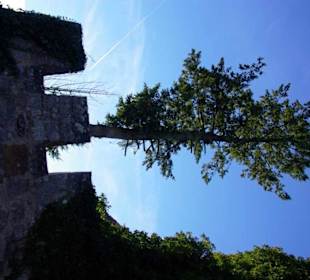 Geiles Bild am Eingang