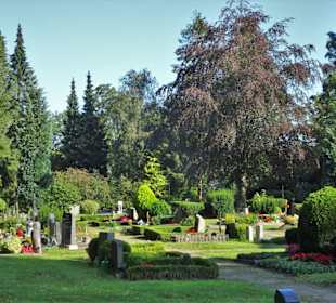 Rundgang über den Mühlenfriedhof