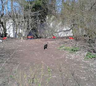 Tierpark Hellabrunn in München