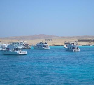 Bootstour  nach Mahmya