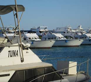 Schiffe in der Marina