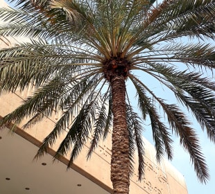 Beit Al Quran