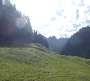 Beim Spaziergang nach Einödsbach im Stillachtal