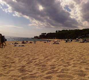 Strand von Fenals