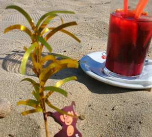 Service auch manchmal bis an den Strand. Lecker! 