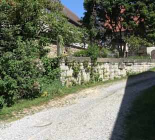 Schloss-Scheuer Baisingen