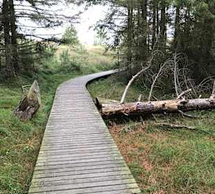 Inselrundgang Wittdün