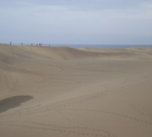 Soweit das Auge reicht