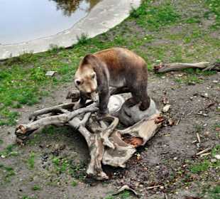 Zoo Osnabrück