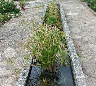 Umgebung + Botanischer Garten Baltschik + Schloss
