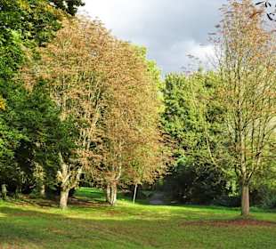 Eindrücke aus dem herbstlichen Knoops Park