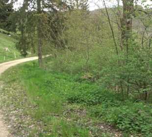 Premiumwanderweg Hochgebürzelt