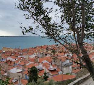 Blick auf die Dächer von Piran