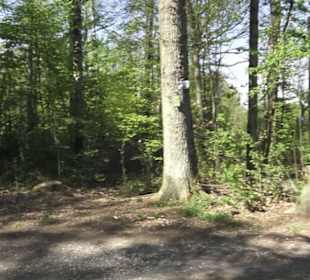 Wanderweg Hochgehwachsen