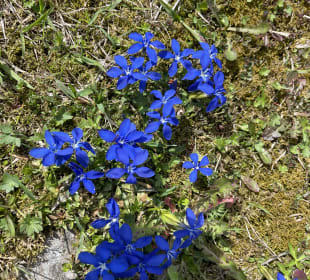 Radfahren Oberstdorf