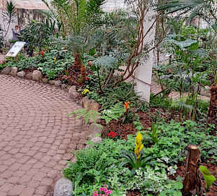 Schmetterlingsgarten