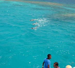 Ausflug Rotes Meer Paradise