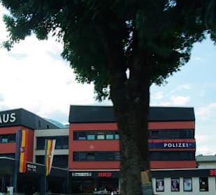 Auf Ösi-Seite ist es im Rathaus