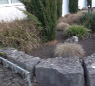 Katholische Kirchengemeinde