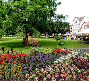 Impressionen aus dem Kurpark