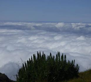 Einzigartige Landschaft