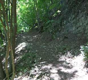 Premiumwanderweg "hochgelegen"