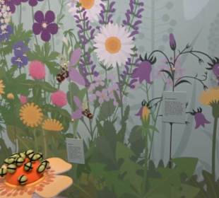 Museum Natur und Mensch