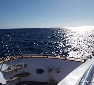 Hier kann man auch die Ruhe genießen