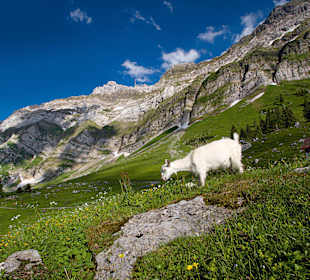 NaturErlebnispark Schwägalp/Säntis