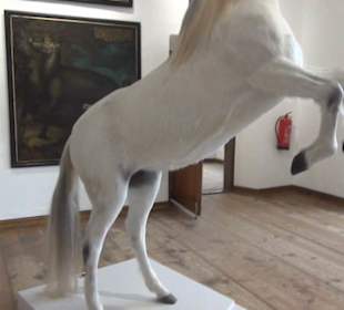 Ausstellung Sittikus