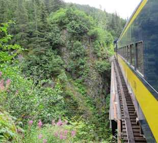 Mit der Train in der Natur Alaskas