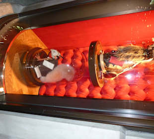 Barcelona магазин Луи Витон