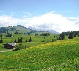 Blütenwanderung auf der Seiser Alm
