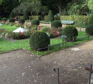 Englischer Garten