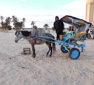 Auf Kamelen dem Sonnenuntergang entgegen