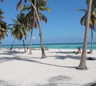 Saona Strand