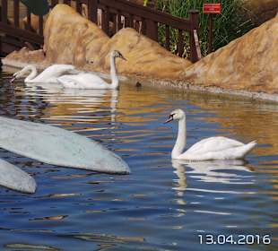 Discovery Park Manavgat