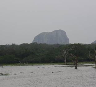 Elefantenfelsen Yala Nationalpark