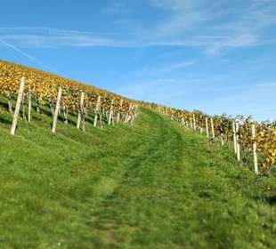 Weingartenweg