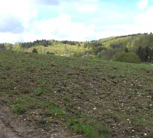 Naturerlebnisweg des NABU-Metzingen