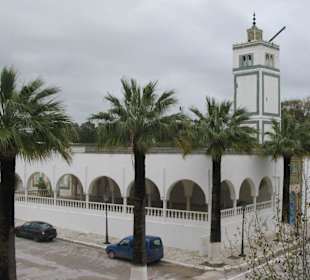 Mosque in the garden of bardo museum