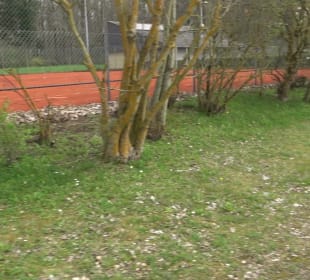 Tennisanlage Sonderbuch